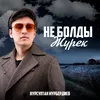 About Не болды жүрек Song