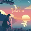 About Teri Tasveer Song