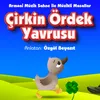 Çirkin Ördek Yavrusu