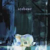 About icebear Song