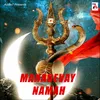 About Maha devaya Namaha Song