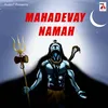About Mahadevay Namaha Song