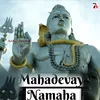 About Om Mahadevaya Namaha Song
