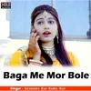 About Baga Me Mor Bole Song