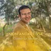 About Non andare via Song