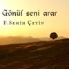 Gönül Seni arar