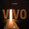 About Vivo Song