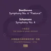 Symphony No. 6 in F major "Pastoral" IV. Allegro - Gewitter, Sturm）