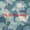 Dil Se Dil Mile