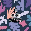 About TU MERI ZAMEEN Song