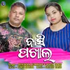 About Basi Pakhala Song