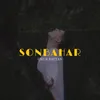 About Sonbahar Song