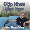 Gặp Nhau Làm Ngơ