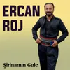 Şirinamın Gule