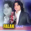 About Na Kawam Singaar Akhtar Ta Song