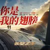 About 你是我的翅膀 Song