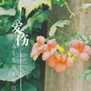 About 爱伤 Song