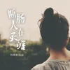 About 断肠人在天涯 Song