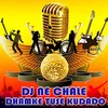 About Dj Ne Chale Dhamke Tuse Kudado Song