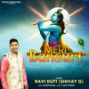 Meri Bansuri