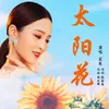 About 太阳花 Song