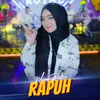 About Rapuh Song