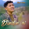 About DIN DIN OI Song