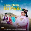 About Mere Bheda Re Paala Song