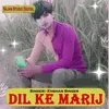 About Dil Ke Marij Song