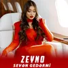 About Sevən Gedərmi Song