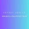 About Ankarayla Polatlının Arası Song