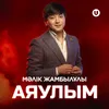 About Аяулым Song