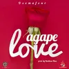 About Agape Love Song