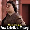 About Yow Lale Rata Yadegi Song