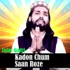 About Kadon Chum Saan Roze Song