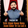 About Tere Alam Noon Mola Asan Ghar Te La LaI A Song