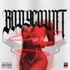 About Bodycount Song