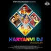 About Haryanvi DJ Mashup Song