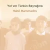 About Yol ver Türkün Bayrağına Song