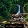 Soothing Music In Jungle