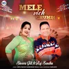 About Mele Vich Ghumdi Song