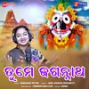 Tume Jagannath