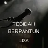 About TEBIDAH BERPANTUN Song