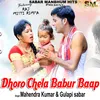 About Dhoro Chela Babur Baap Song