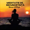 About Meditație De Recunoștință Song