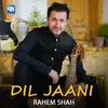 Dil Jaani