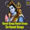 About Namah shivaya Namah shivaya Om Namah shivaya Song