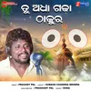 About Tu Adha Gadha Thakura Song