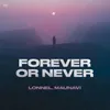 About Forever Or Never Song