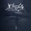 About 黑夜与白昼 Song